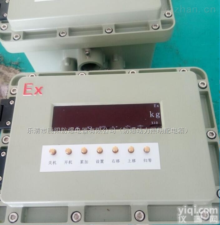防爆<em>称重仪</em><em>表箱</em>/防爆仪表控制箱
