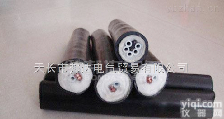 CEMS  CEMS <em>耐腐</em>（防腐）伴热<em>采样</em>复合管伴热<em>采样</em>管