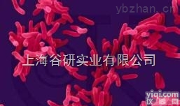 <em>昆明</em>链<em>霉菌</em><em>培养</em>