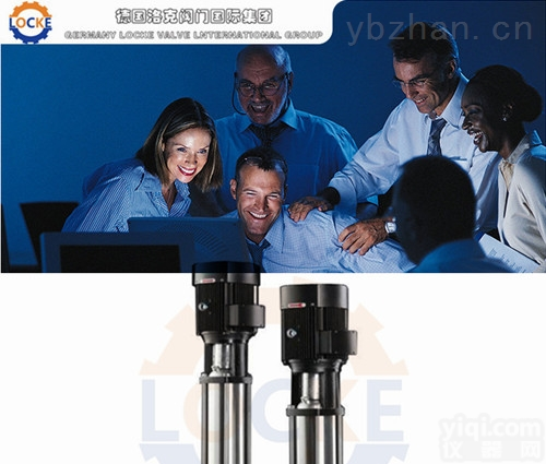 LOCKE  进口<em>立式</em><em>高压泵</em>品Pai