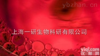 小鼠成纤维<em>细胞</em>；NCTC clone 929 L cell, L-929, <em>derivative</em> o