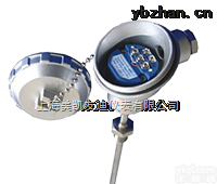 <em>SBW</em>  <em>SBW</em>系列带<em>热电偶</em>（阻）温度<em>变送</em>器