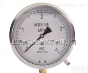 Y-B <em> Y-B不锈钢压力表</em>