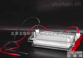 DL19- DYCP-44N  <em>快速</em><em>凝胶电泳</em>仪 多样品DNA<em>电泳仪</em>