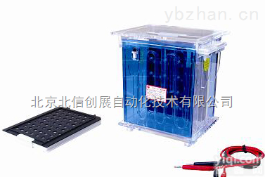 DL19- DYCZ-40A  <em>转移</em><em>电泳仪</em> 大号<em>转移</em><em>电泳仪</em>