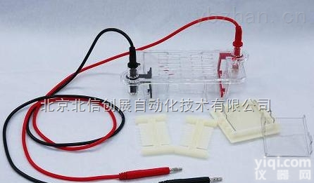 DL19- DYCP-31BN  迷你<em>琼脂</em>糖<em>电泳仪</em> <em>核酸电泳</em>仪