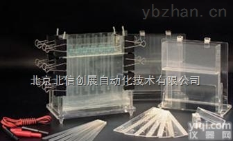 DL19- DYCZ-21  多用途<em>电泳</em>仪 凝胶<em>电泳</em>仪 <em>普通</em>教学<em>电泳</em>仪