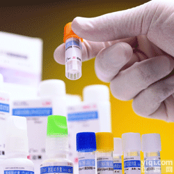 制<em>霉菌</em>素检定<em>培养</em>基<em>保存</em>