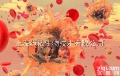 <em>抗乙型肝炎病毒表面抗原单克隆抗体杂交瘤细胞株；HBS-r6说明书</em>