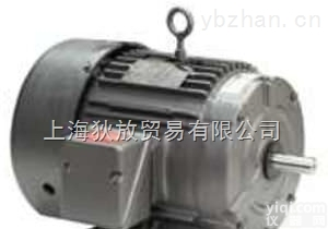 LEESON  <em>美国LEESON电机</em>