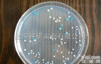 <em>明胶</em>培养基（营养<em>明胶</em>培养基）<em>实验</em>方法