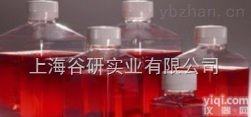 <em>醋酸铅</em><em>培养基</em>基础<em>价格</em>