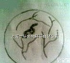 乳酸乳<em>球菌</em>乳亚种<em>说明书</em>