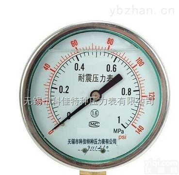YN-50/YN60/YN75/YN10  <em>耐震双刻度压力表</em>