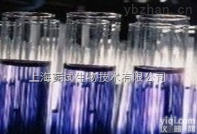 碱性磷酸酶（AP）标记的兔抗羊<em>IgM</em><em>售后服务</em>