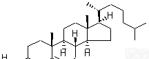 <em>胆固醇</em>,化学<em>对照</em>品（50mg）