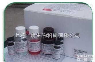 <em>丙二酸含量试剂盒100T</em>