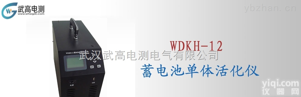 WDKH-12  <em>武高</em><em>电测</em><em>蓄电池</em>单体活化仪