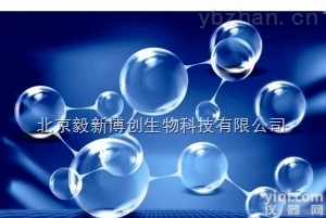 <em>蛋白质</em>N端<em>测序</em>