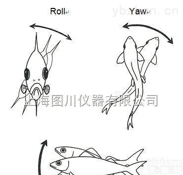 DST centi – T型  DST卫星<em>跟踪</em>标记实时监测<em>跟踪</em>鱼类行为游泳<em>记录仪</em>
