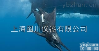 SeaTag-MOD  Argos哺乳类卫星<em>追踪</em>标记 动物跟踪海豚<em>记录仪</em>