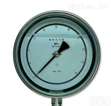 <em>YTN</em>-60 <em>YTN</em>-<em>100</em>  <em>耐震</em>压力表