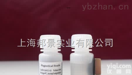 <em>Southern</em> 级<em>真菌</em> <em>DNAout10</em> 次规格