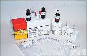 BL21（DE3） <em>化学</em><em>感受</em>态<em>细胞</em>0.1mL×10图片