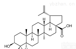 <em>白桦</em>脂酸 <em>HPLC</em>≥<em>98</em>%