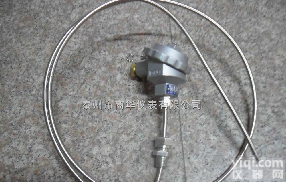 B型双铂铑铠装<em>热电偶</em>B型<em>贵金属</em><em>热电偶</em>WRRK-331