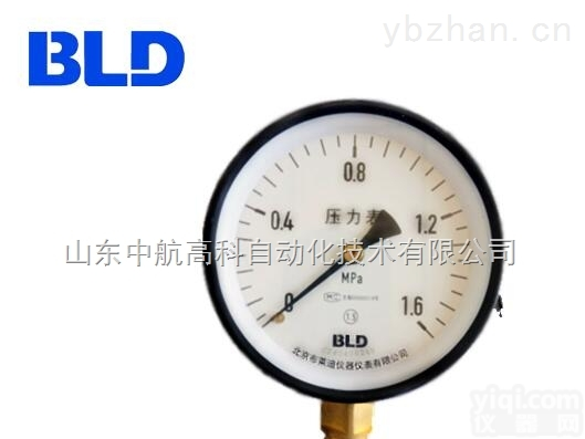 <em>布莱迪</em>压力表Y-<em>100</em>