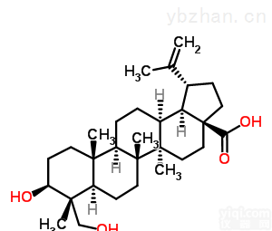 <em>23-羟基白桦酸 HPLC≥95%</em>