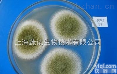 嗜盐四联<em>球菌</em>（酱油片<em>球菌</em>）<em>售后服务</em>