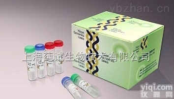 细胞膜染色试剂盒（<em>绿色</em>荧光）BBcellProbe M01  1000T使用<em>说明书</em>