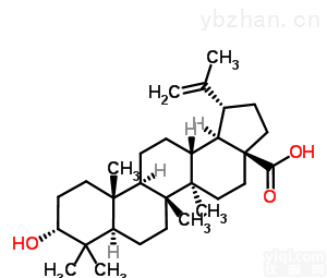 表<em>白桦</em>脂酸 <em>HPLC</em>≥<em>98</em>%