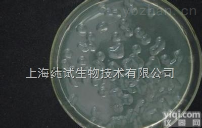 阿尔<em>莱特</em>葡萄球菌<em>售后</em>服务