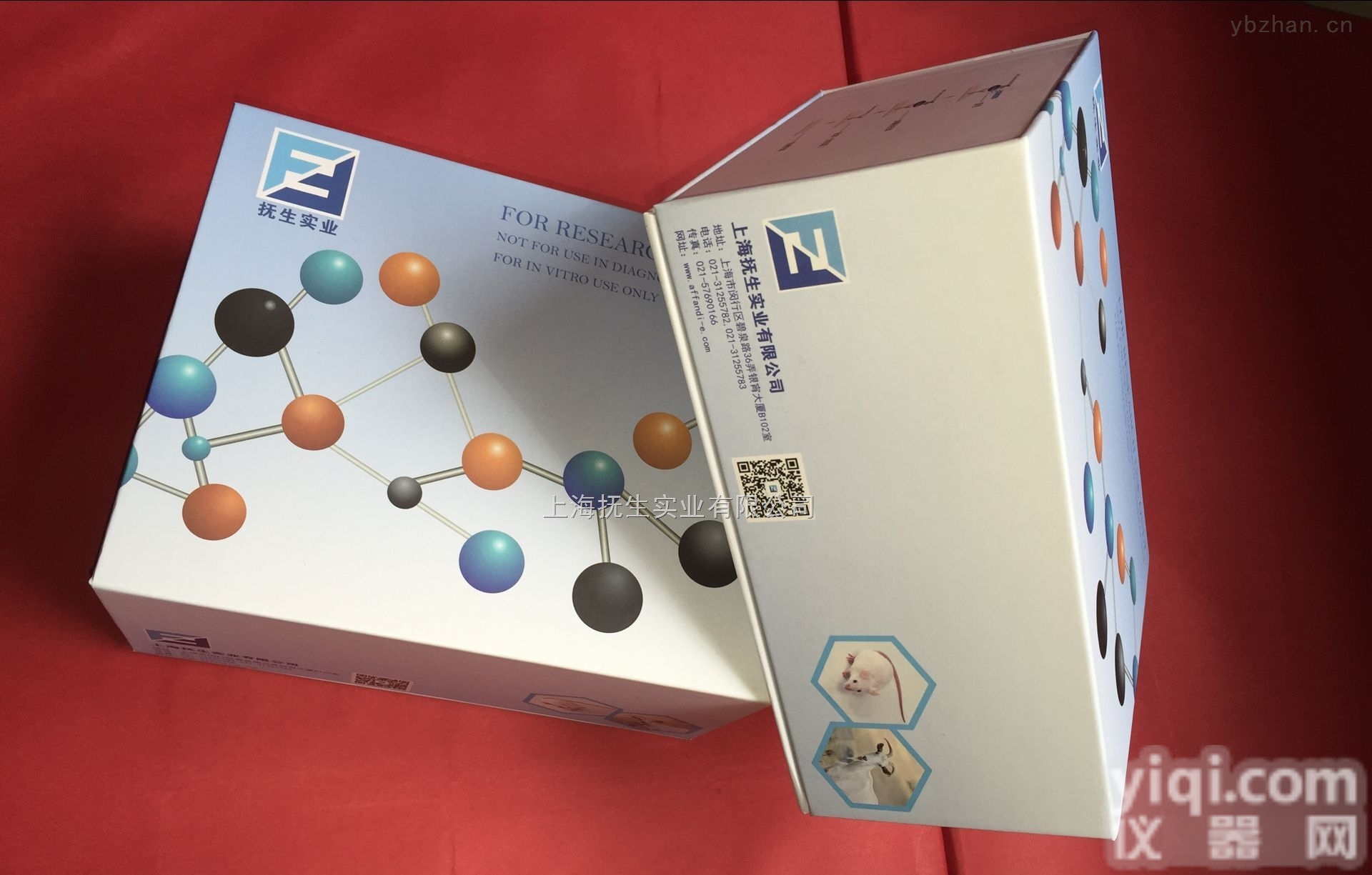 人丝裂原<em>激活</em>蛋白激酶<em>激活</em>蛋白激酶3（MAPKAPK3）elisa定量检测试剂盒<em>图片</em>