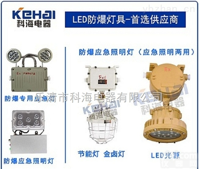 BAJ52  Led双头防爆<em>应急灯</em>/<em>粉尘</em>防爆<em>应急灯</em>/90分钟应急