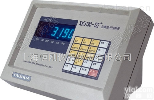 称重<em>仪表</em>  D2+<em>无线</em>称重<em>仪表</em>