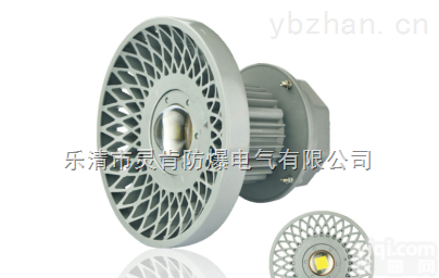 DGS100/127L（A）  DGS100/127L（A） <em>矿用</em><em>隔爆型</em>LED灯<em>巷道</em>灯