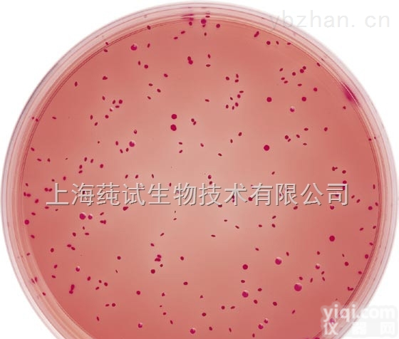 含<em>青霉素酶</em>接触皿<em>培养基</em><em>平板</em>培养