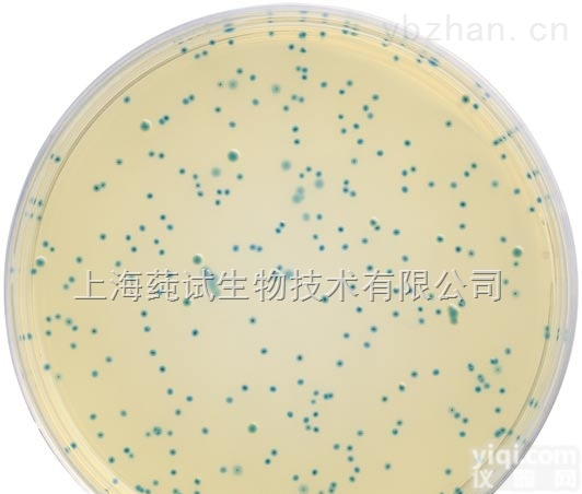 大肠杆菌／大肠菌群<em>显色</em><em>培养基</em>（第<em>二代</em>）培养
