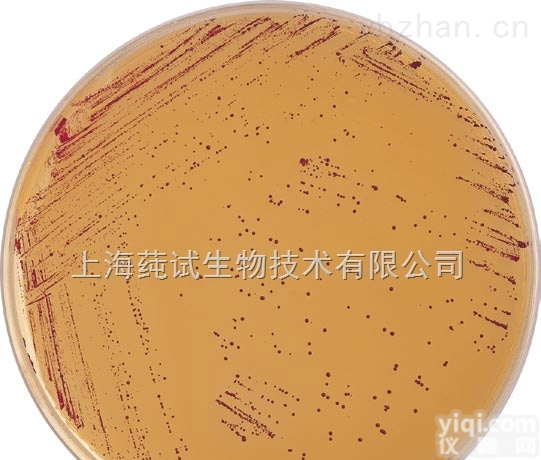 dragon牙膏稀释<em>缓冲</em>液<em>售后服务</em>