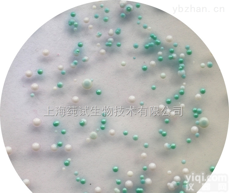 大豆<em>酪蛋白</em><em>琼脂</em>（TSA）<em>培养基</em>平板（15cm）培养