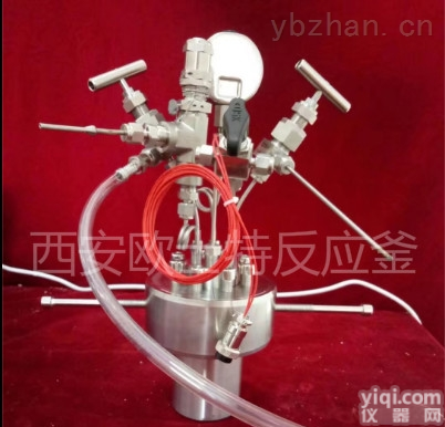 OST-50ml  <em>西安微型高压反应釜</em>