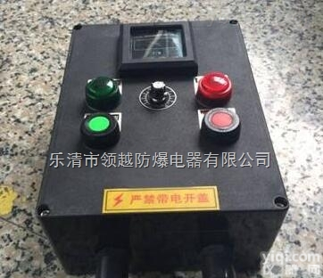 ZXF  ZXF8030-A2B2<em>防爆</em><em>防腐</em><em>控制器</em>