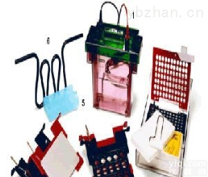 MiniTrans-BlotModule<em>转印</em><em>电泳</em>槽*<em>美国</em>伯乐