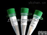 兔抗Avidin亲合素（纯化抗体），167075-<em>10mg</em>/ml