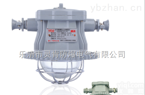 <em>DGS24/127L（A）  DGS24/127L（A）矿用隔爆型巷道灯</em>LED