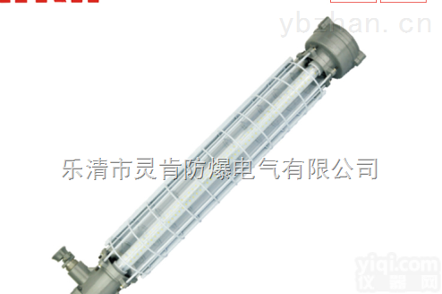 <em>DGS24/127L（A）  DGS24/127L（A）矿用隔爆型巷道灯</em>厂家2